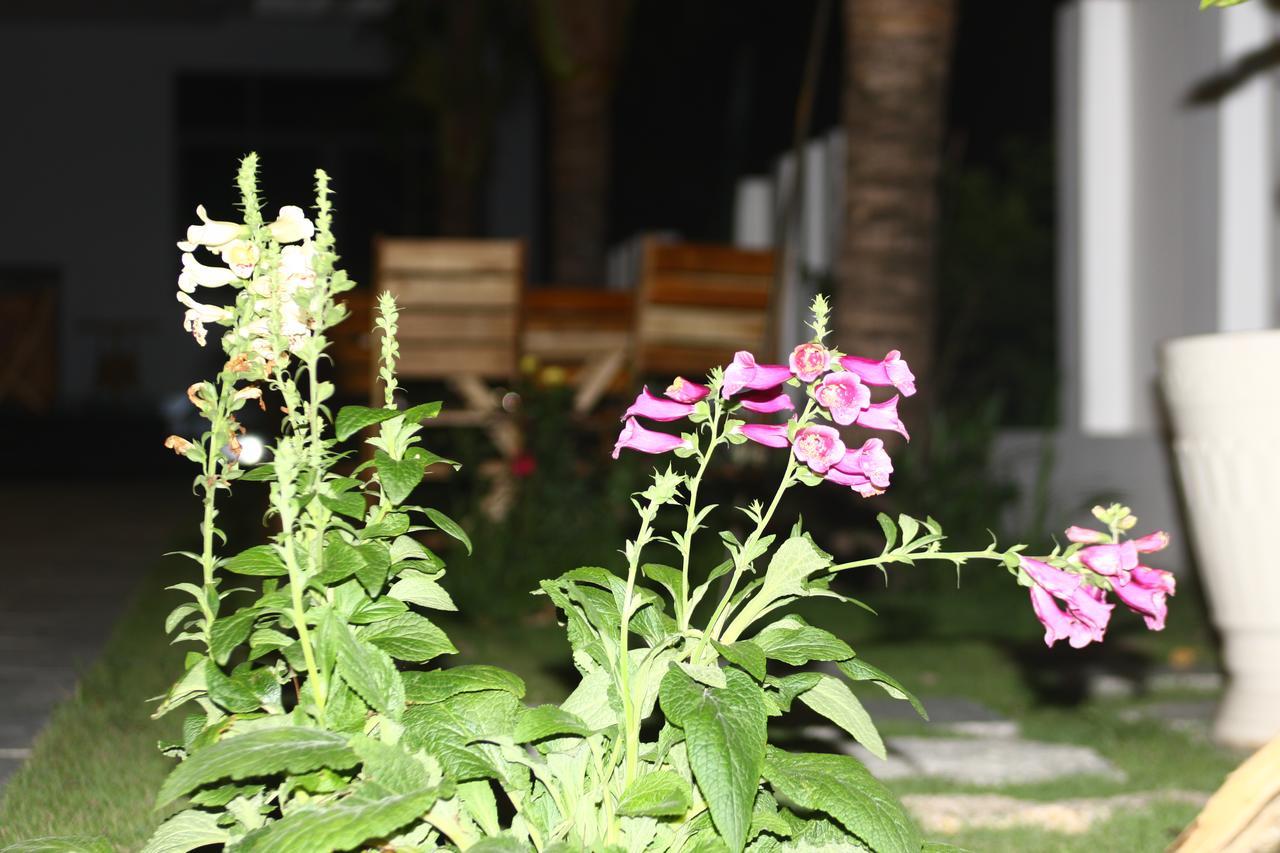 Ocean View Hotel Να Τρανγκ Εξωτερικό φωτογραφία